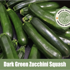 Dark Green Zucchini Squash